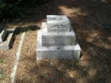 image of grave number 69662